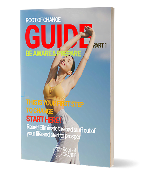 Root of Change – Guide Gudie - Roof of Change